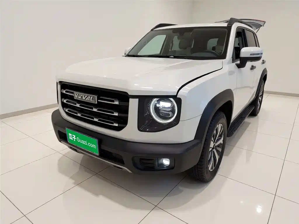 Haval Big Dog 2021 1.5T DCT 2WD Labrador Edition фото 2