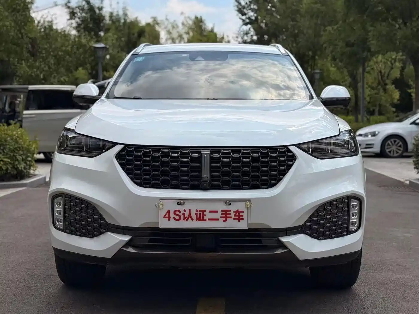 WEY VV6 2019 2020 2.0T 2WD Smart Protection+