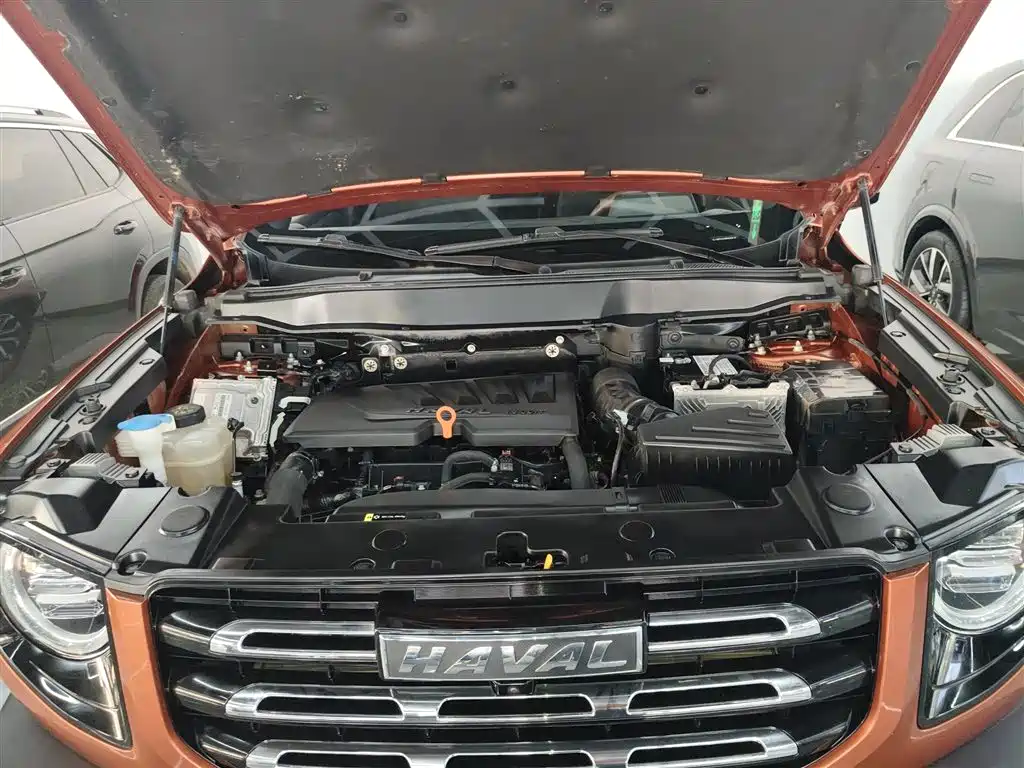 Haval Big Dog 2021 1.5T DCT 2WD Border Collie - Wangcai Edition фото 16