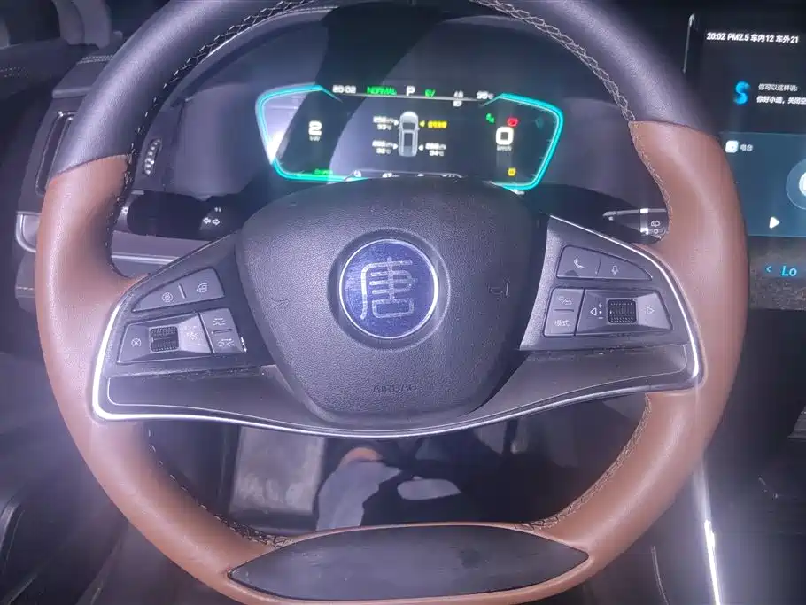 BYD Tang New Energy 2021 DM-i 112KM Honor фото 15