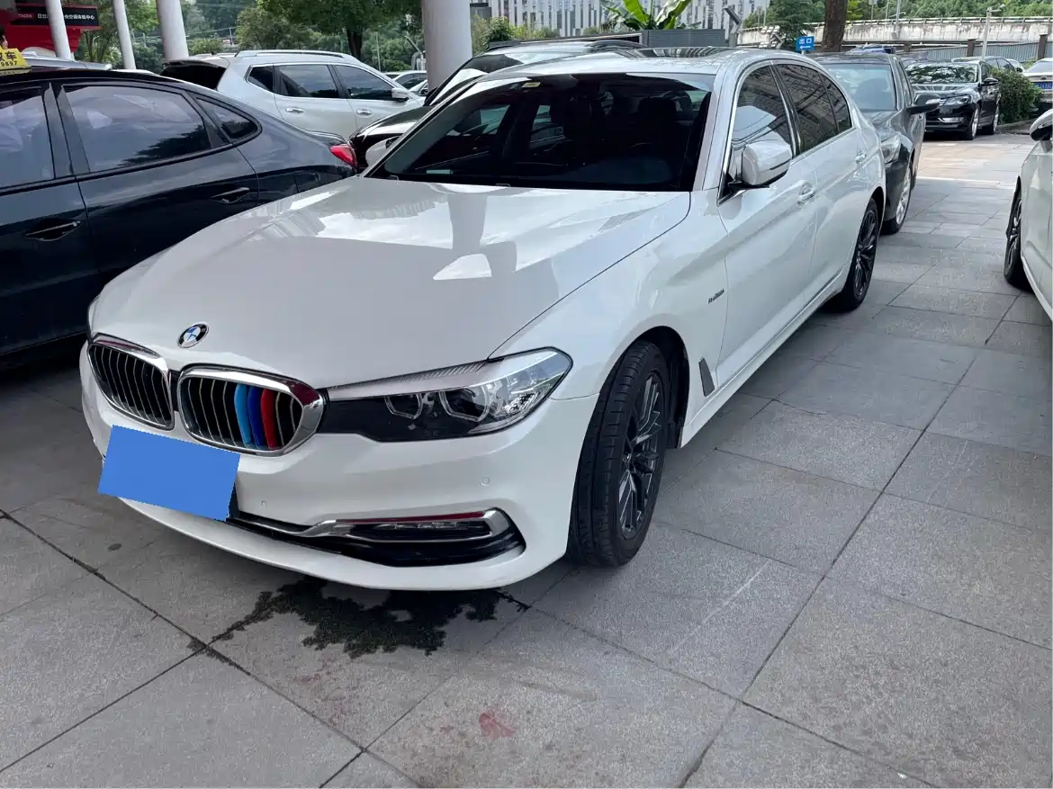 BMW 5 Series 2018 525Li Luxury Package