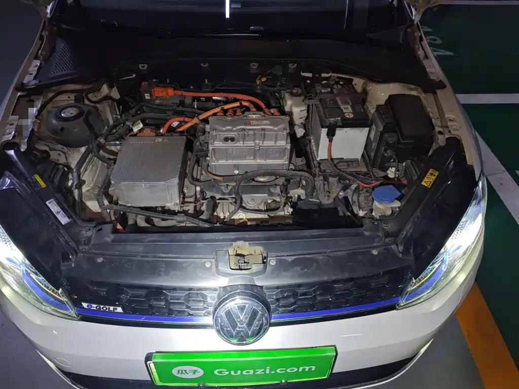 VOLKSWAGEN GOLF*PURE ELECTRICITY