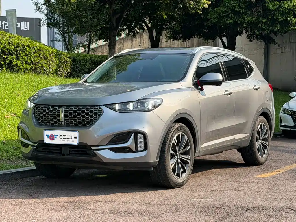 WEY VV6 2021 2021 2.0T 2WD Smart Enjoyment+