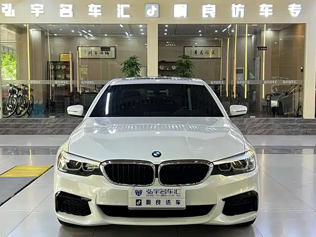 BMW 5 SERIES
