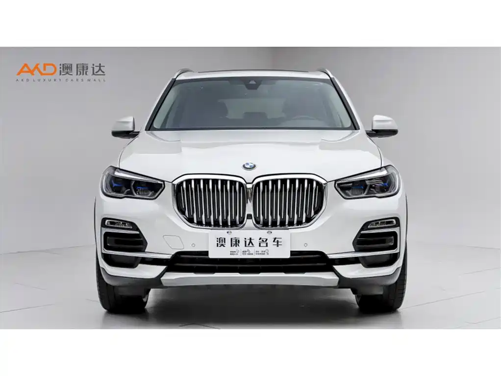 BMW X5 (Import) 2019 xDrive30i X Design Package фото 2