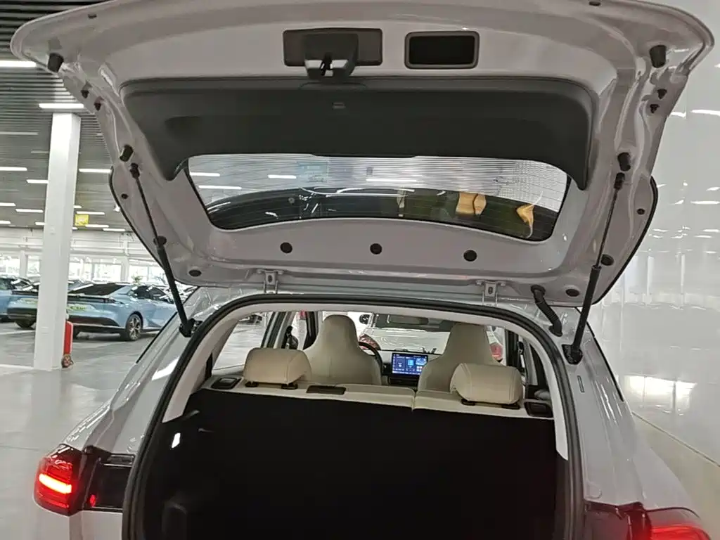 Wuling Motors Wuling Binguo PLUS 2026 2024 510km Range 5-seater