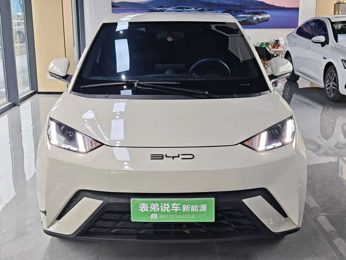 BYD Seagull 2023 Freedom Edition фото 2