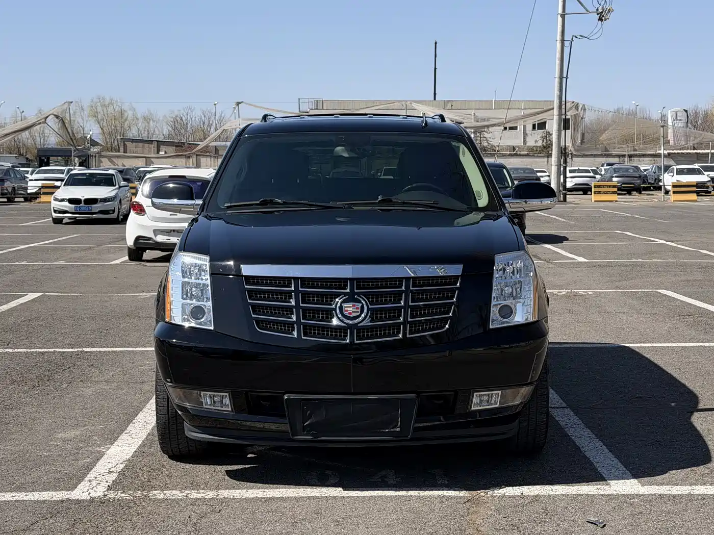Cadillac Escalade 2010 6.0 Hybrid фото 2