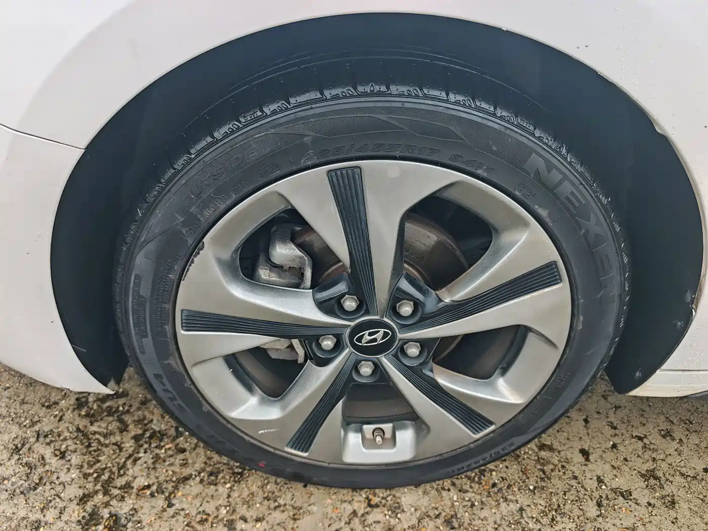 Фото 8 - Hyundai Fista