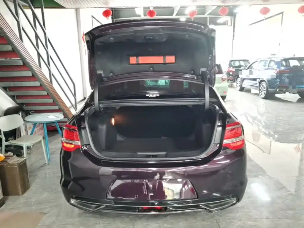 DS 5LS 2016 2016 1.6T Elegant Edition THP160