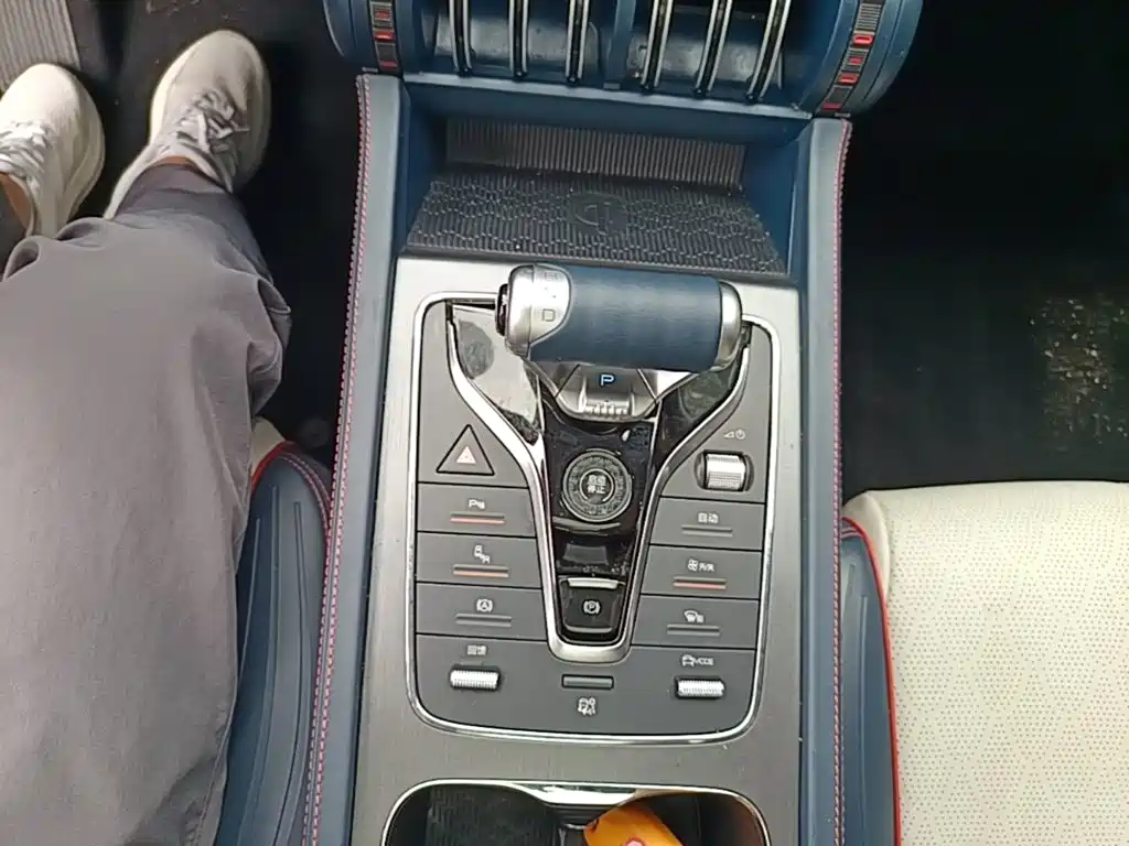 BYD Yuan PLUS 2022 2022 510KM Flagship