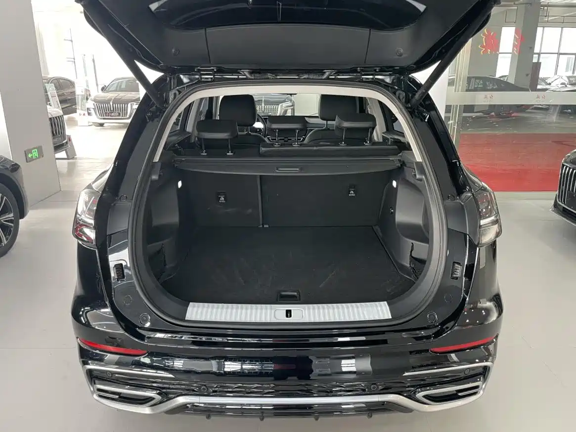 Hongqi HS5 2023 2.0T Flag Enjoy Pro Edition фото 14