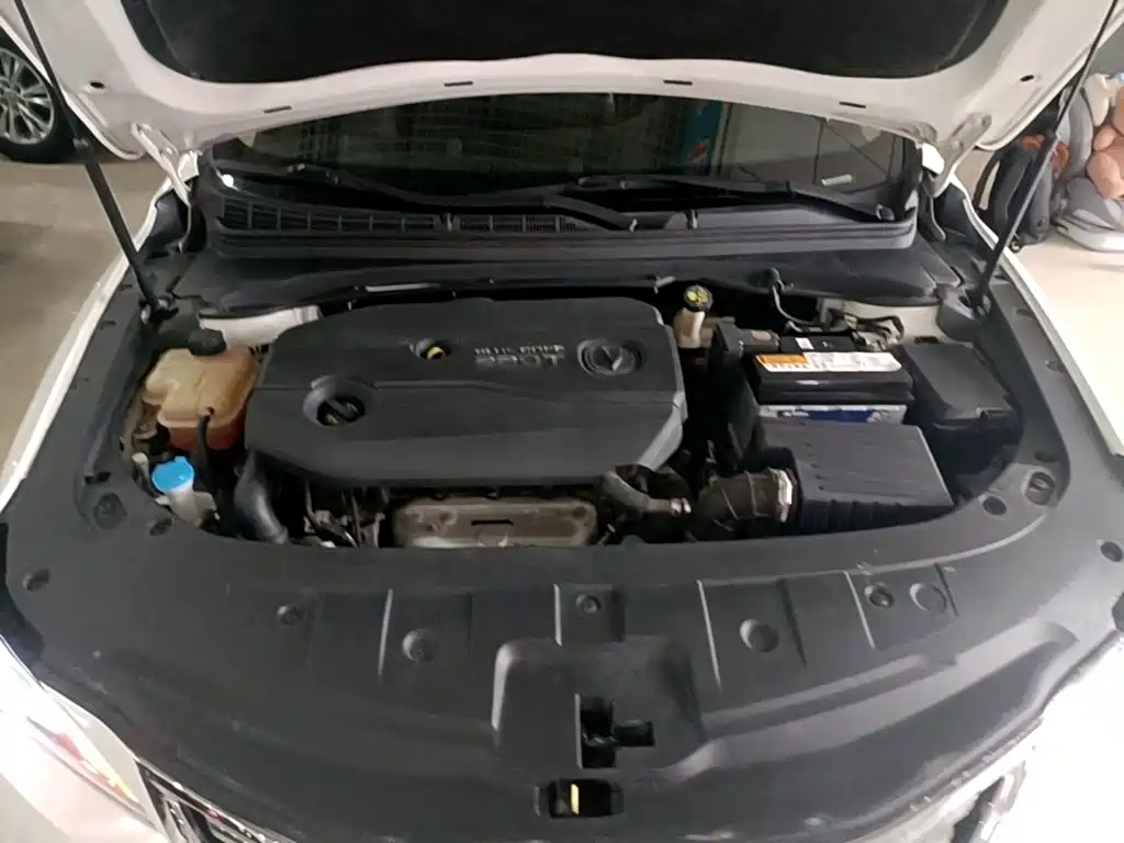 Changan Raeton CC 2018 2018 1.5T Automatic Luxury Class China V