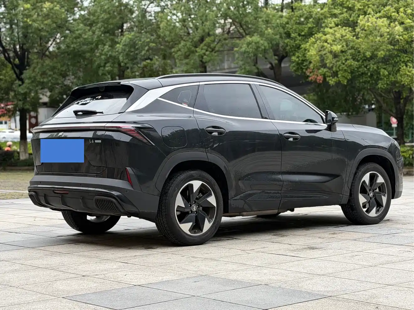 Jetour Shanhai L6 2025 2024 1.5TD DHT MAX