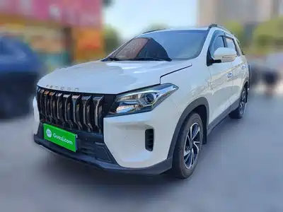 Dongfeng Fengguang S560