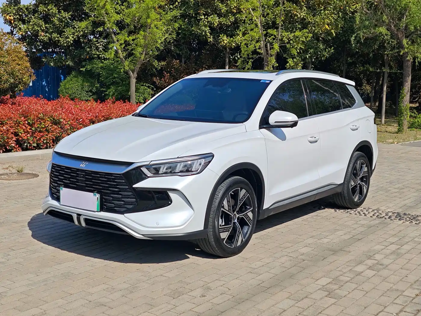 BYD SONGJIANG NEW ENERGY