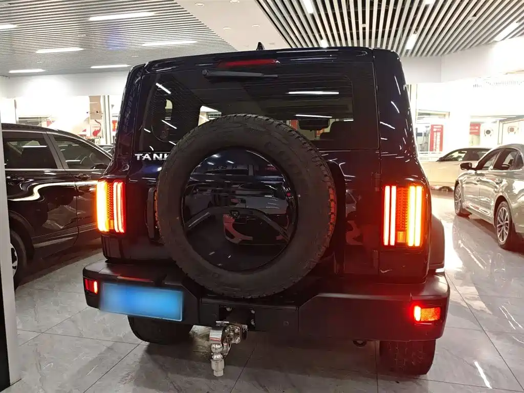Tank 300 2023 Off-Road Edition 2.0T Conqueror фото 4