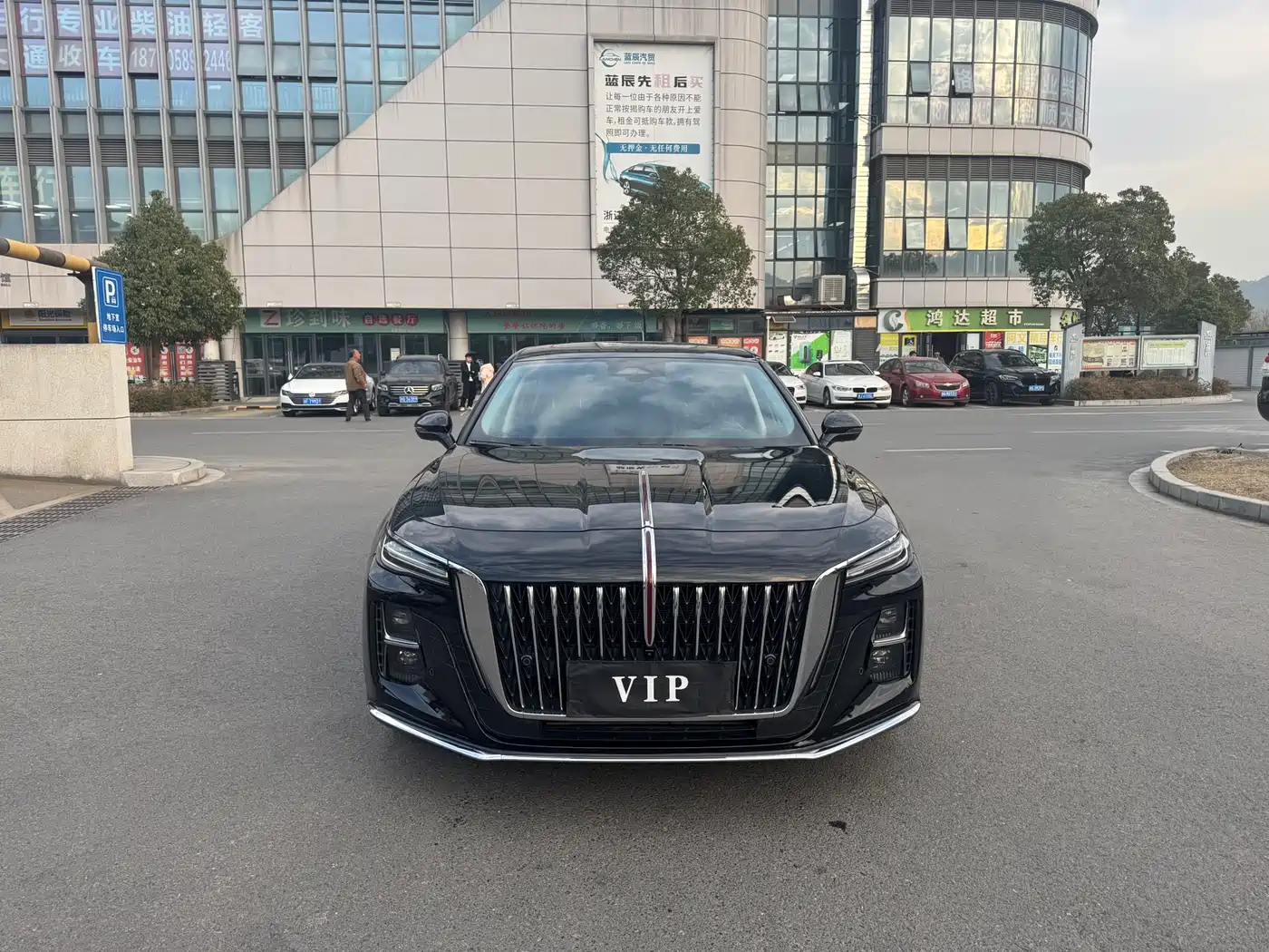Hongqi H5 2023 2.0T Auto Smart Connect Flag Comfort фото 2