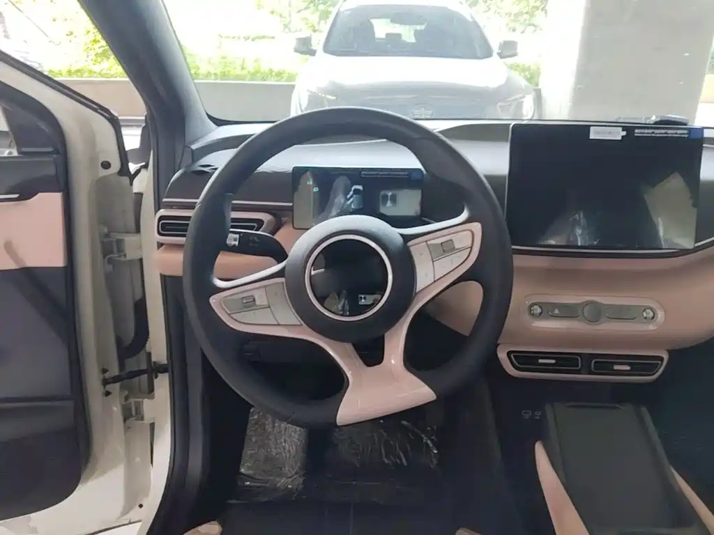 BYD Seagull 2026 2025 Smart Drive Edition 305km Vitality Version
