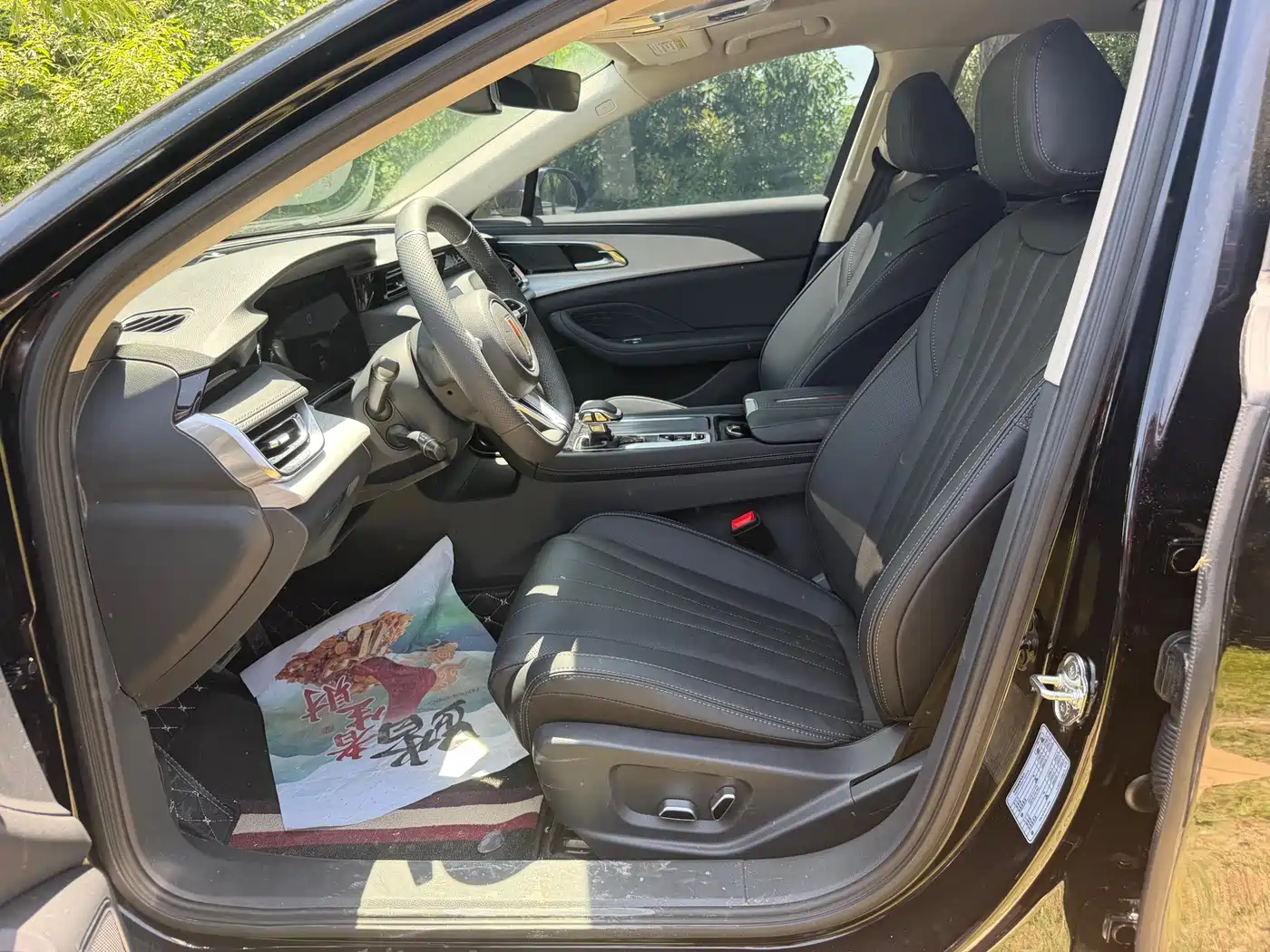 Hongqi H5 2025 2.0T Automatic Mystic Shadow фото 4