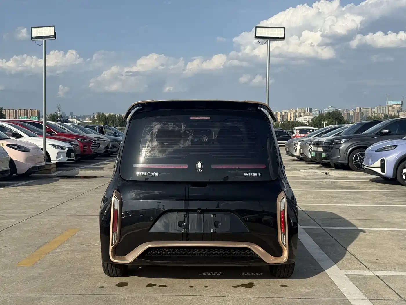 Ora White Cat 2022 2022 Wildcat Edition 360km Luxury (NMC)