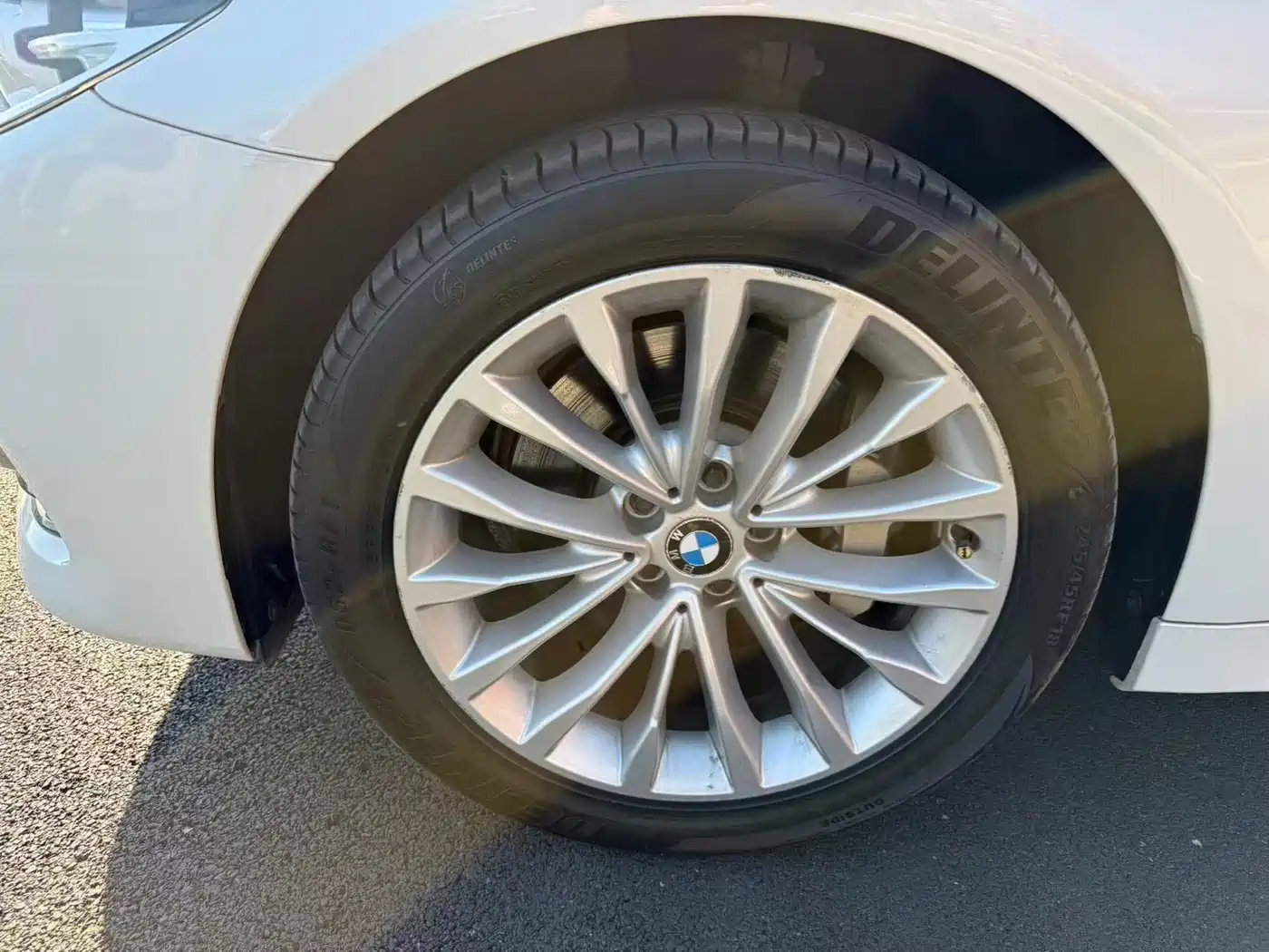 BMW 5 Series 2019 530Li Leading Luxury Package фото 10