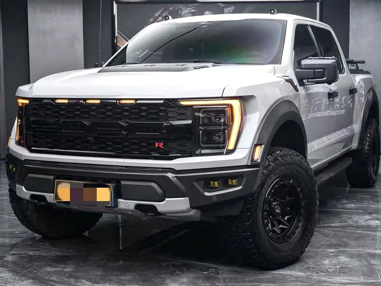 Ford F-150 Raptor 2024 2023 3.5T Raptor Snow Pride Special Edition