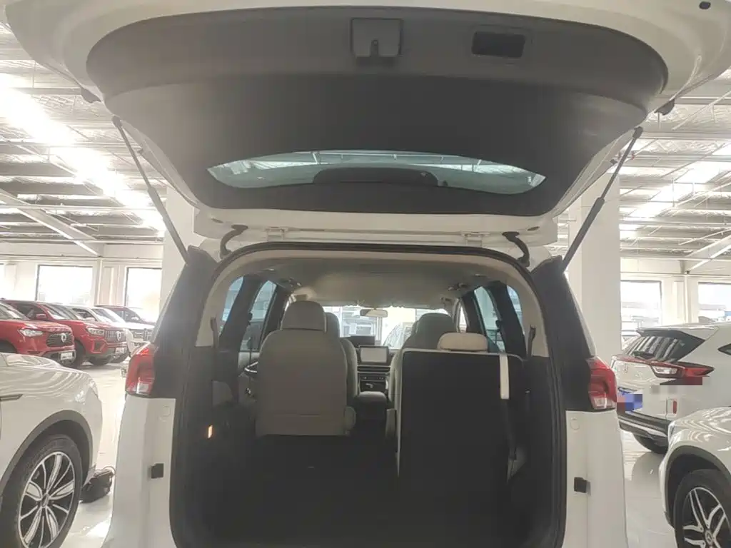 Фото 19 - Maxus Maxus G50