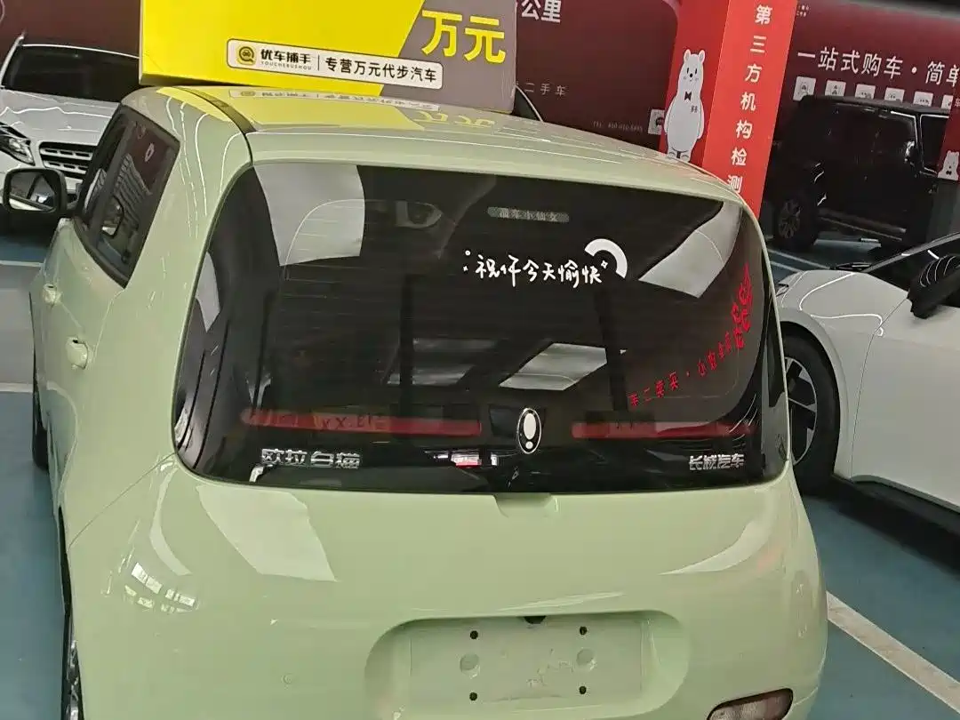 Ora White Cat 2021 2022 Upgraded 305km Luxury Edition LFP
