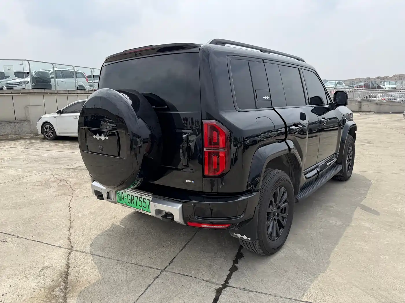 FANG CHENG BAO LEOPARD 5