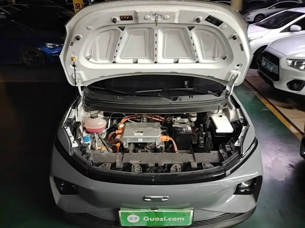 Geely Geometry E Firefly 2024 2024 Model 301km Starlight