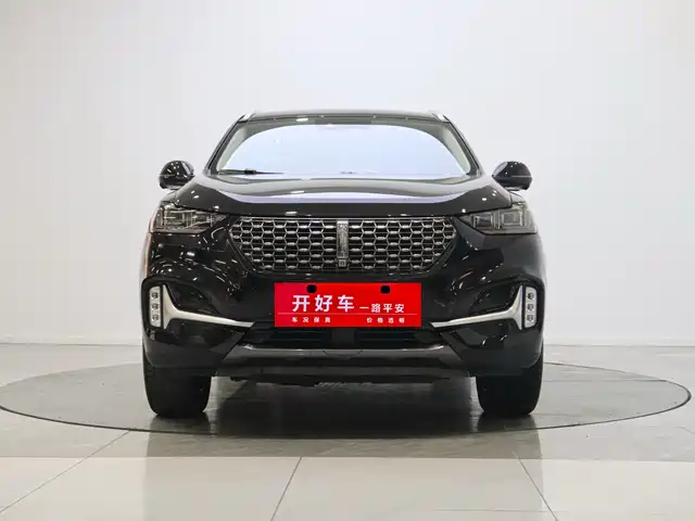 WEI PAI WEI BRAND VV6