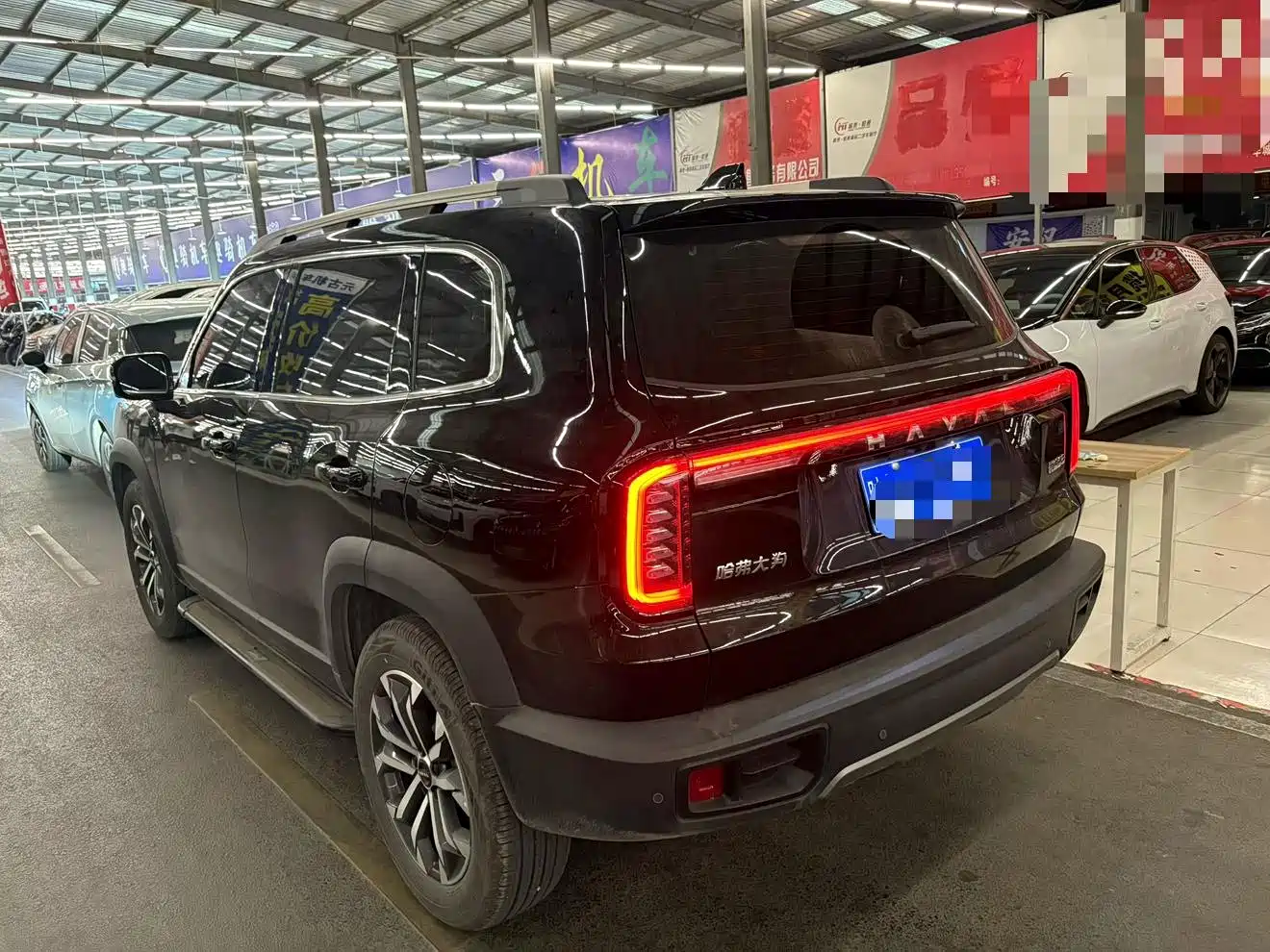 Haval Big Dog 2025 2024 1.5T DCT Border Collie Edition