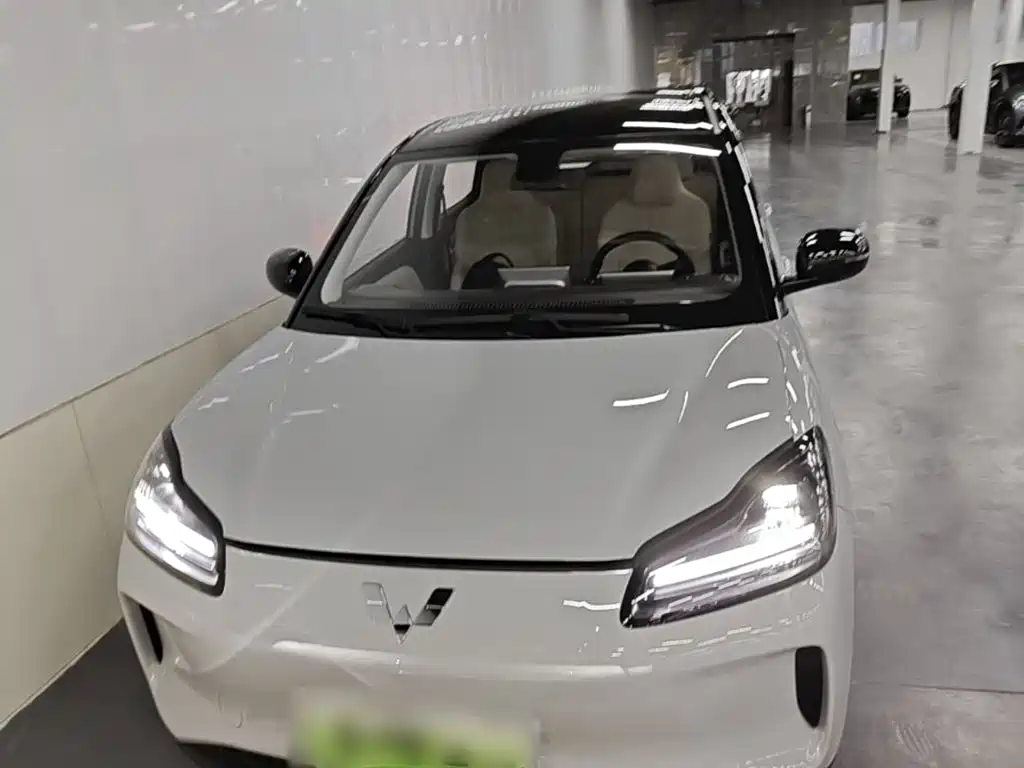 Wuling Motors Wuling Binguo PLUS 2026 2024 510km Range 5-seater