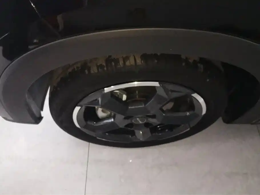 BYD Seagull 2023 Flying Edition фото 6