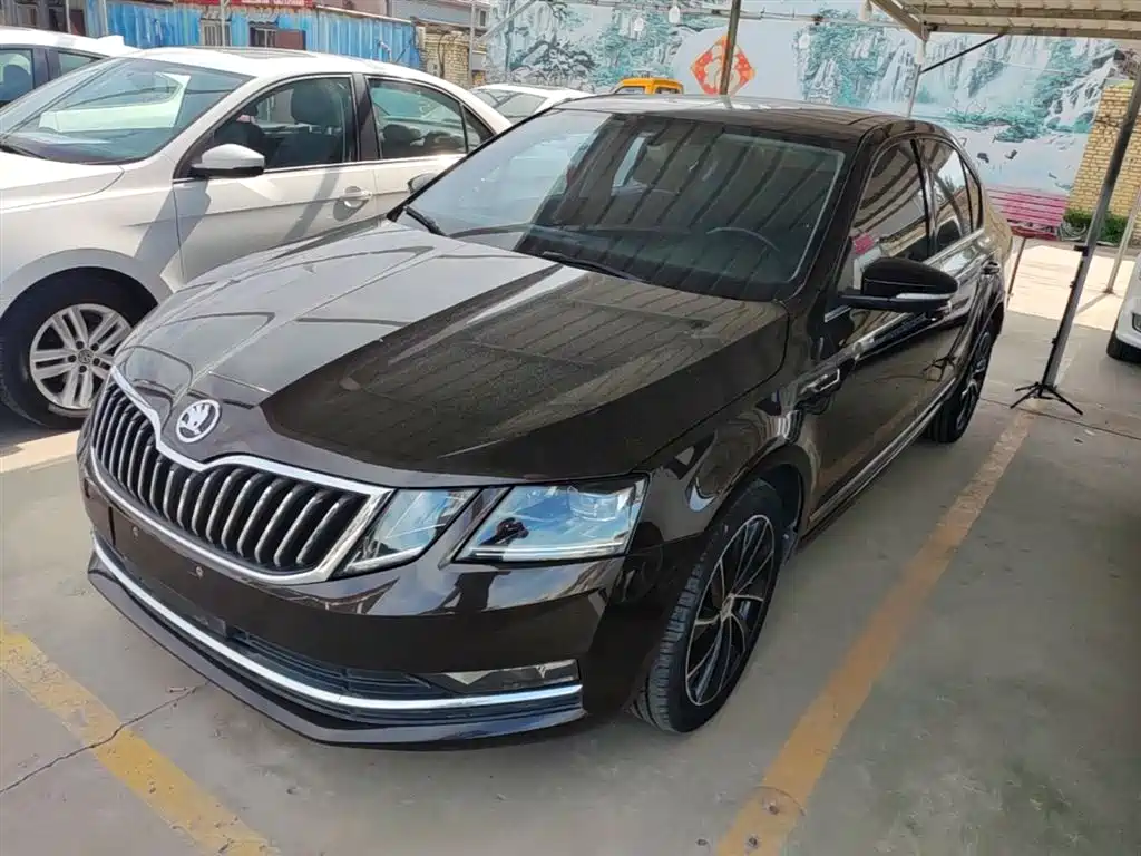 Škoda Octavia 2018 TSI280 DSG Luxury Edition фото 2