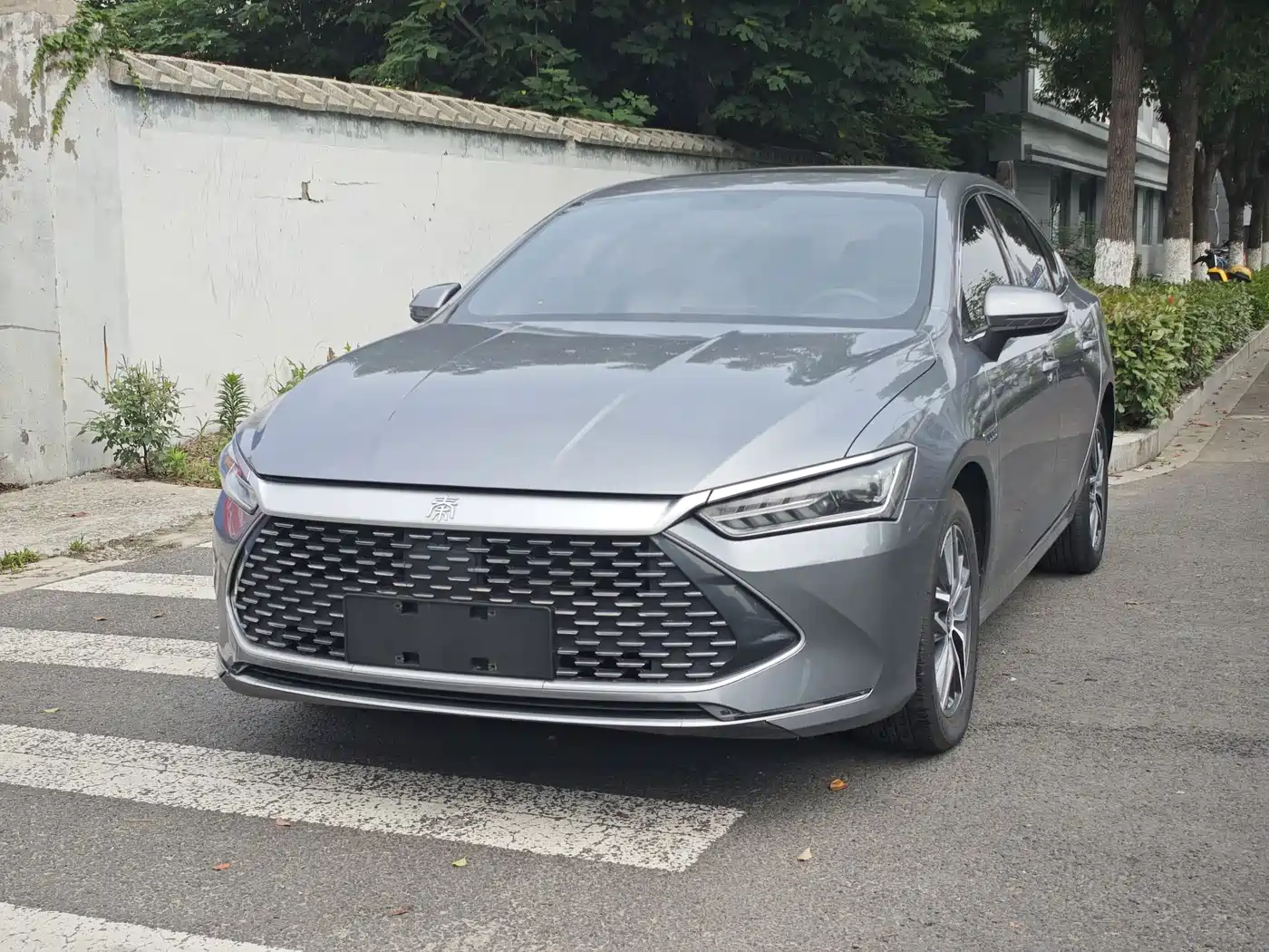 BYD Qin PLUS 2023 Champion Edition DM-i 120KM Leading Type