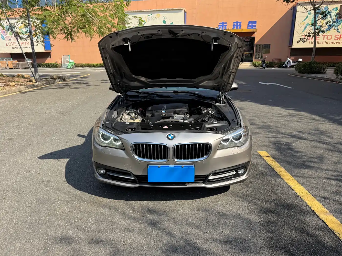 BMW 5 Series 2014 520Li Elegance фото 17