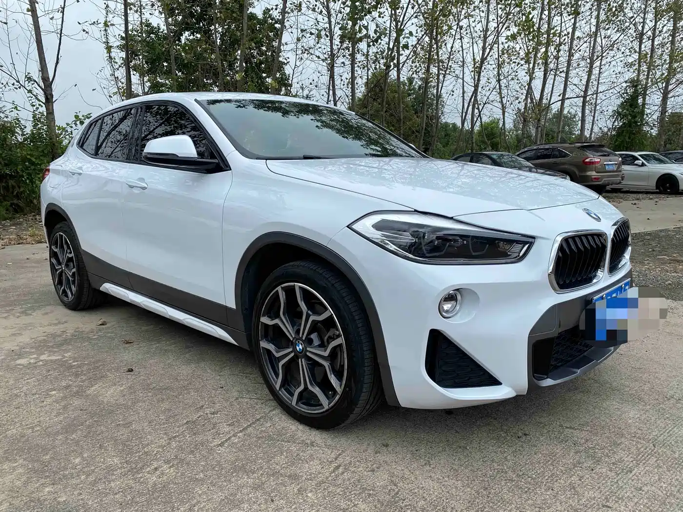 BMW X2 (Import) 2018 2018 sDrive25i Luxury M Off-Road Package China V