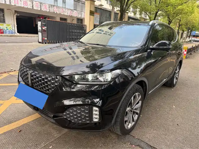 WEI PAI WEI BRAND VV6