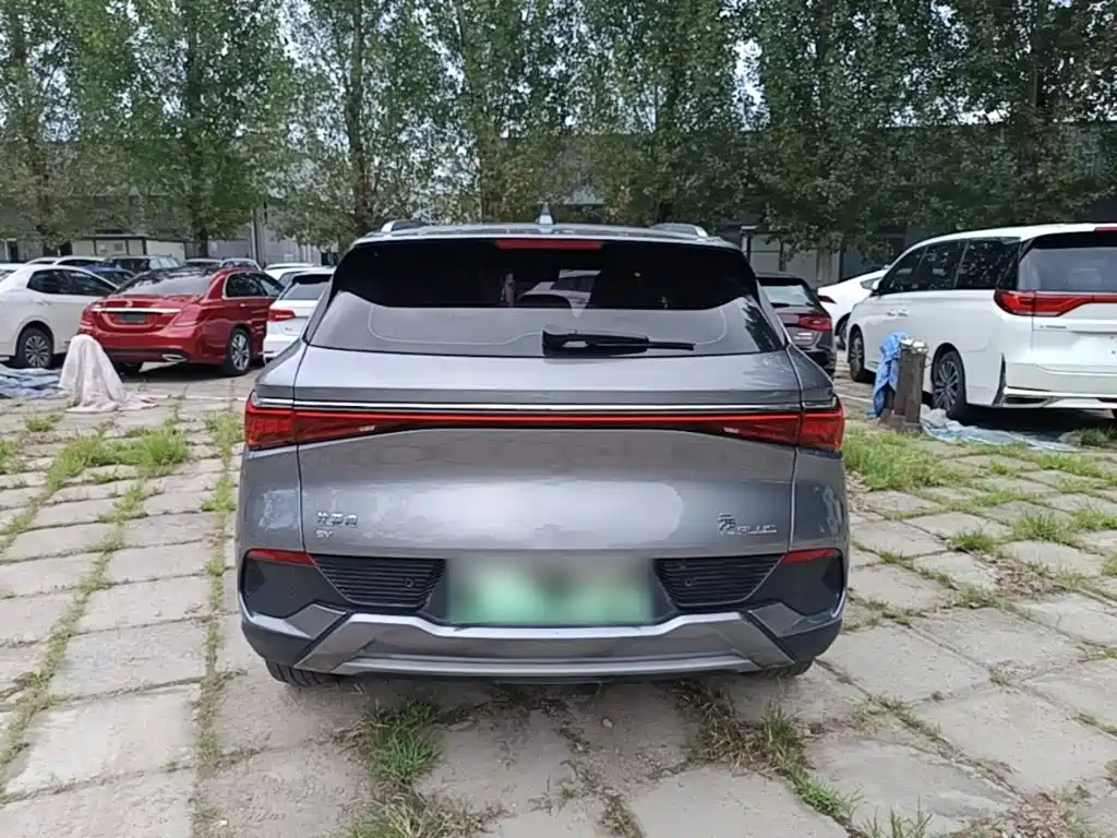 BYD Yuan PLUS 2022 2022 510KM Flagship