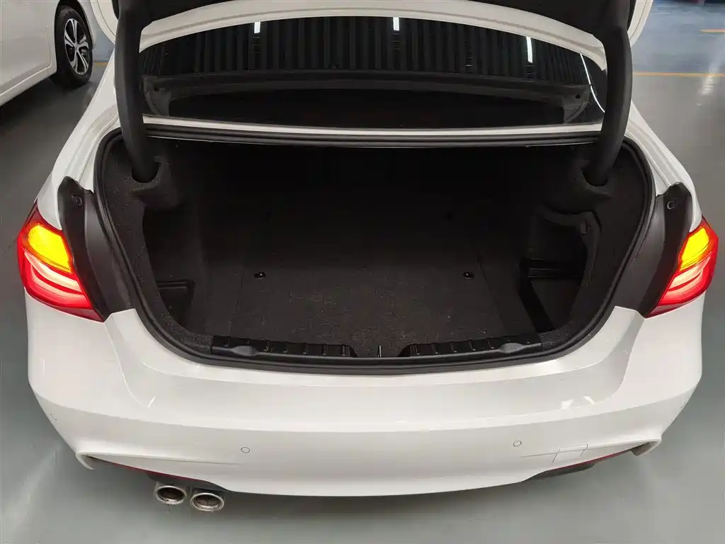 BMW 3 Series 2018 320Li Leading M Sport Package фото 15