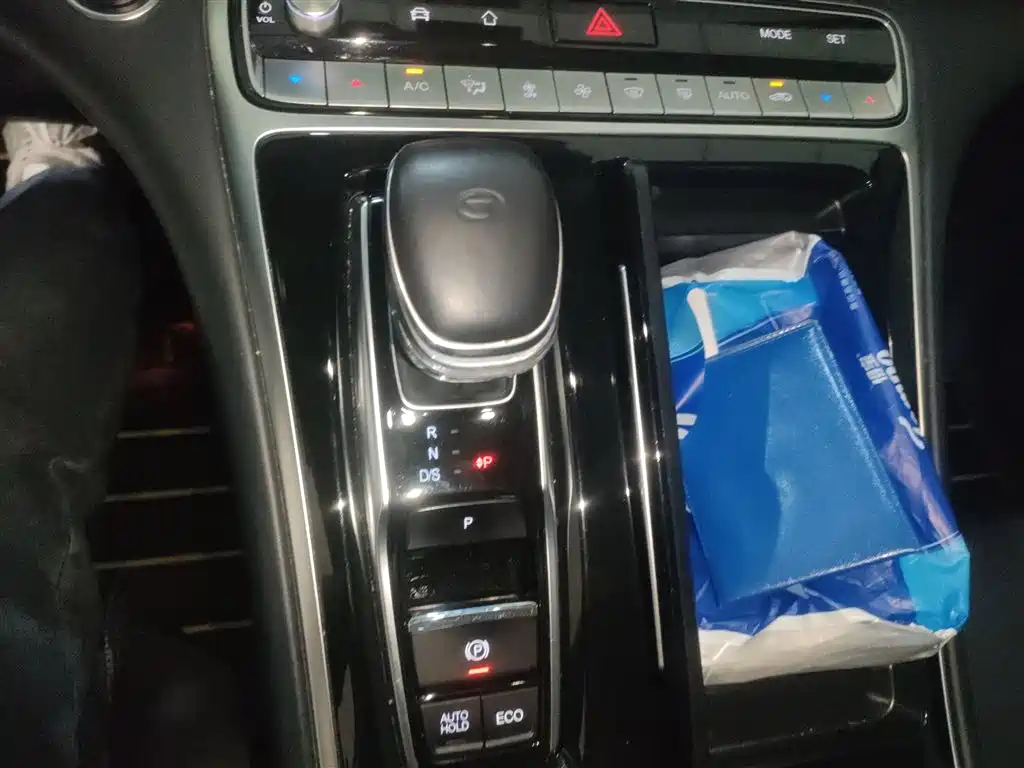 GAC Trumpchi Trumpchi M8 2021 Leading Show Series 390T Premium Edition фото 10