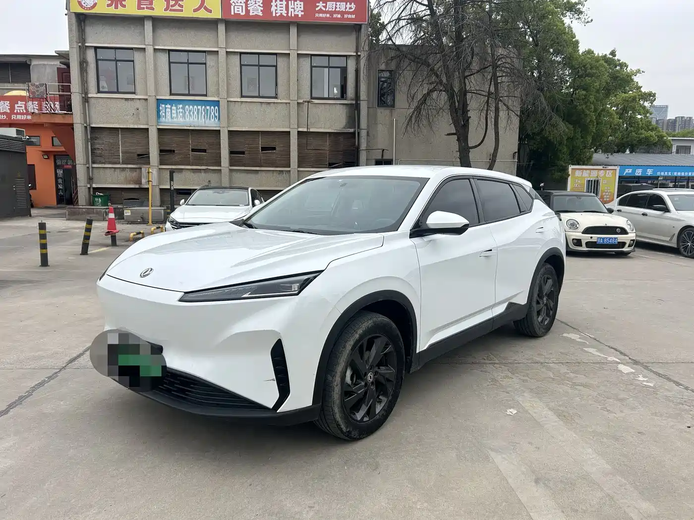 DONGFENG SKY EV01