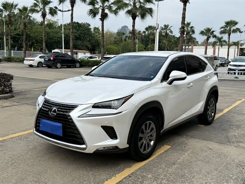 Lexus NX 2020 200 FWD Sharp Edition China V