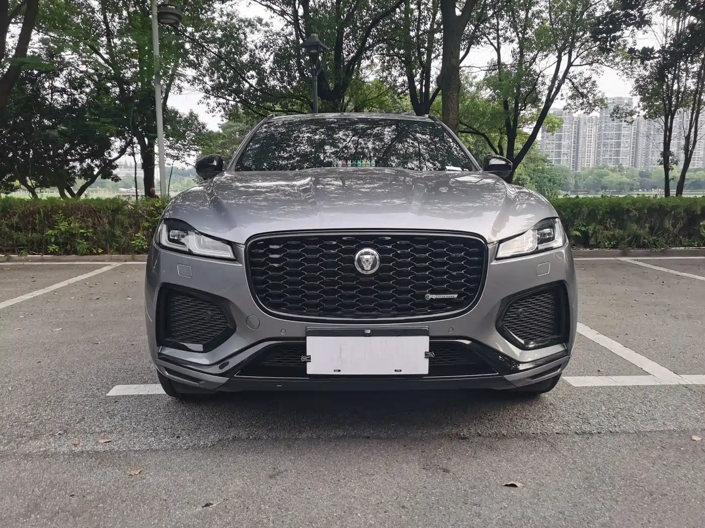 Jaguar F-PACE 2024 2024 P250 R-Dynamic SE