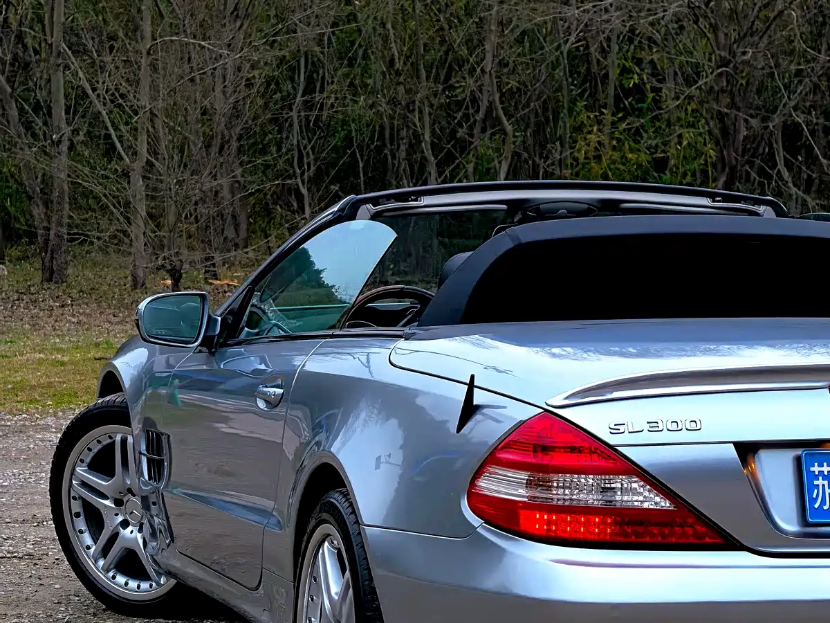 Mercedes-Benz SL-Class 2010 SL 300 фото 18
