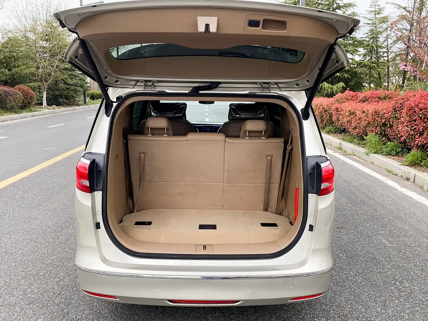 Buick GL8 2017 ES 28T Luxury China V фото 24
