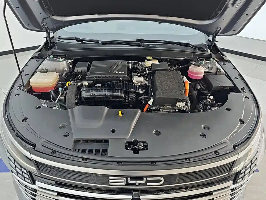 BYD Destroyer 05 2025 2024 Glory Edition DM-i 55KM Luxury