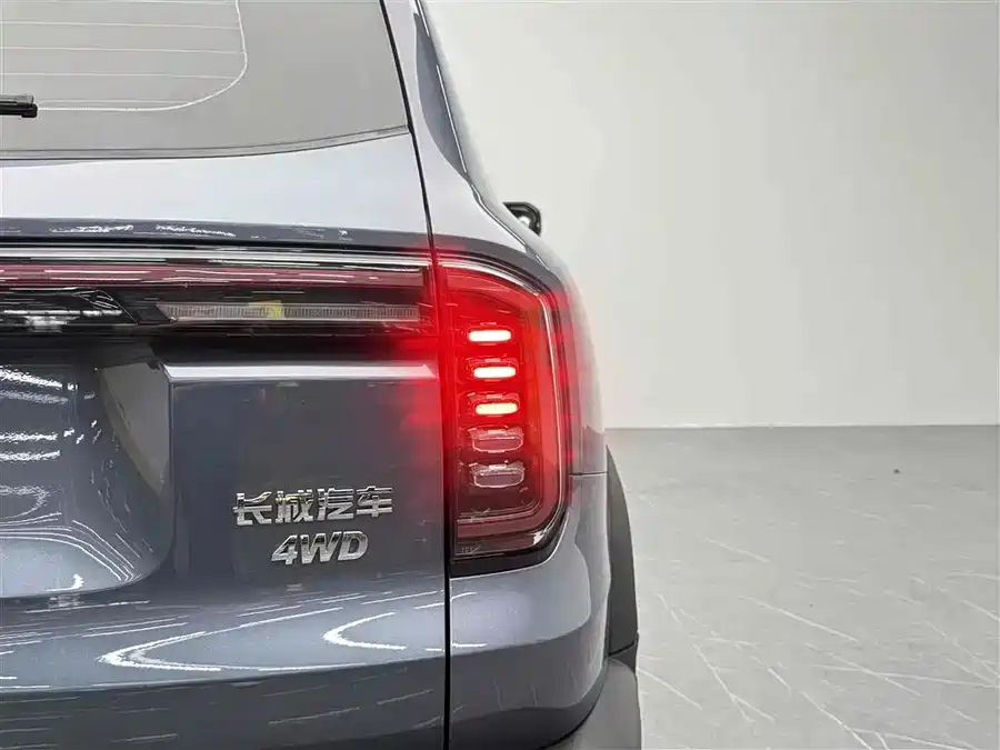 Haval Big Dog 2024 1.5T DCT Border Collie Edition фото 6